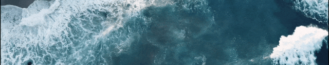 1786275076488097.gif 705DD6E5BCCE8A22117876A0FFECCA4E_w640h128.gif
